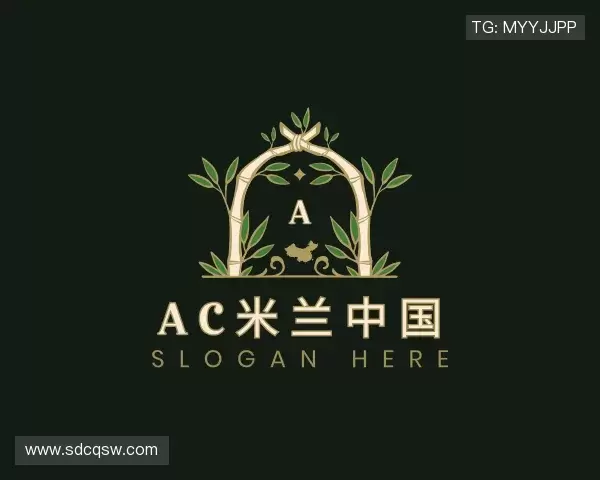 了解ac米兰中国